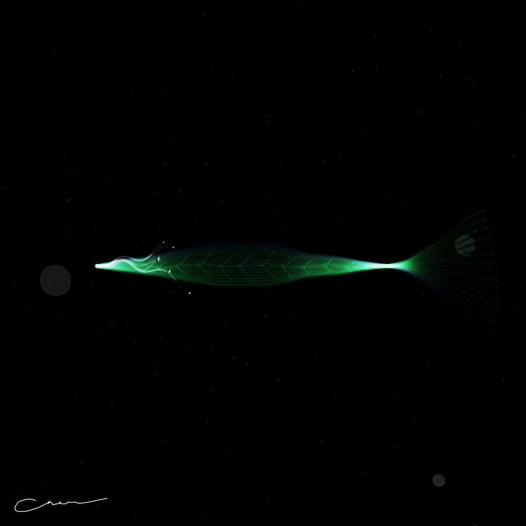 SoulFish #216 static token preview