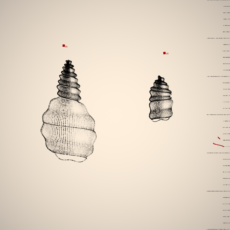 Two Specimen #200 static NFT preview