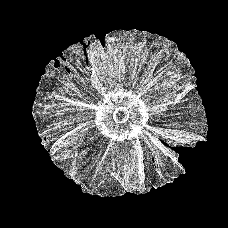 White Poppy 30 #64 static token preview