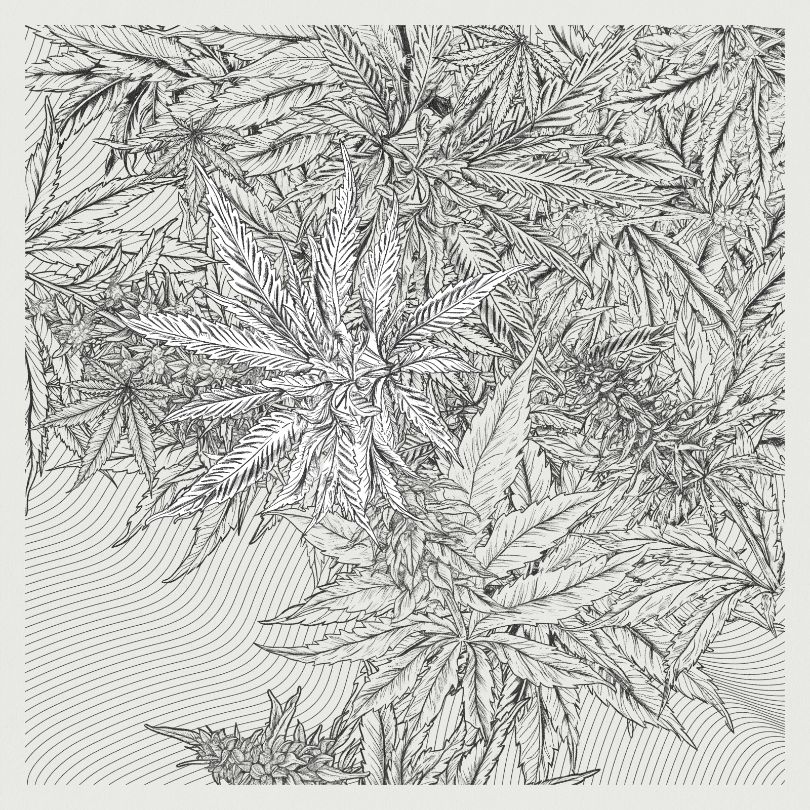 zancannabis #346 static NFT preview