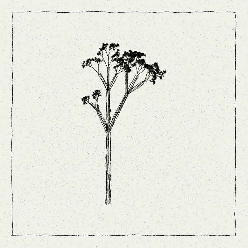 Hand-Drawn Tree #41 static token preview