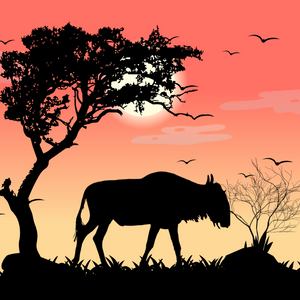 We Care...Wildebeest project preview