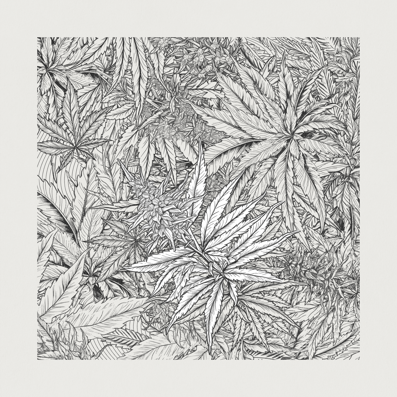 zancannabis #199 static NFT preview