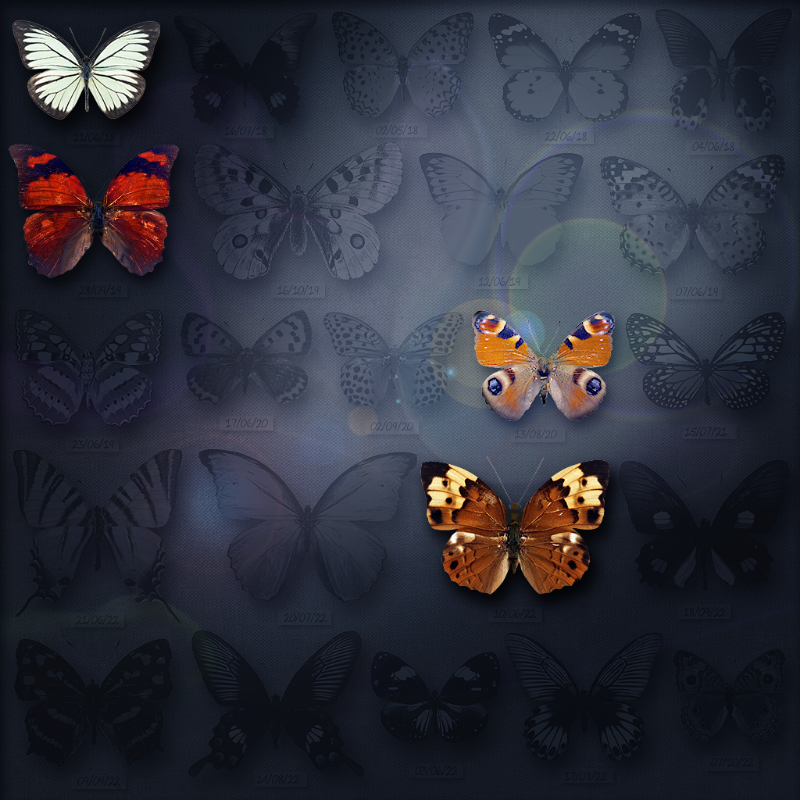 Save Butterfly World #22 static token preview
