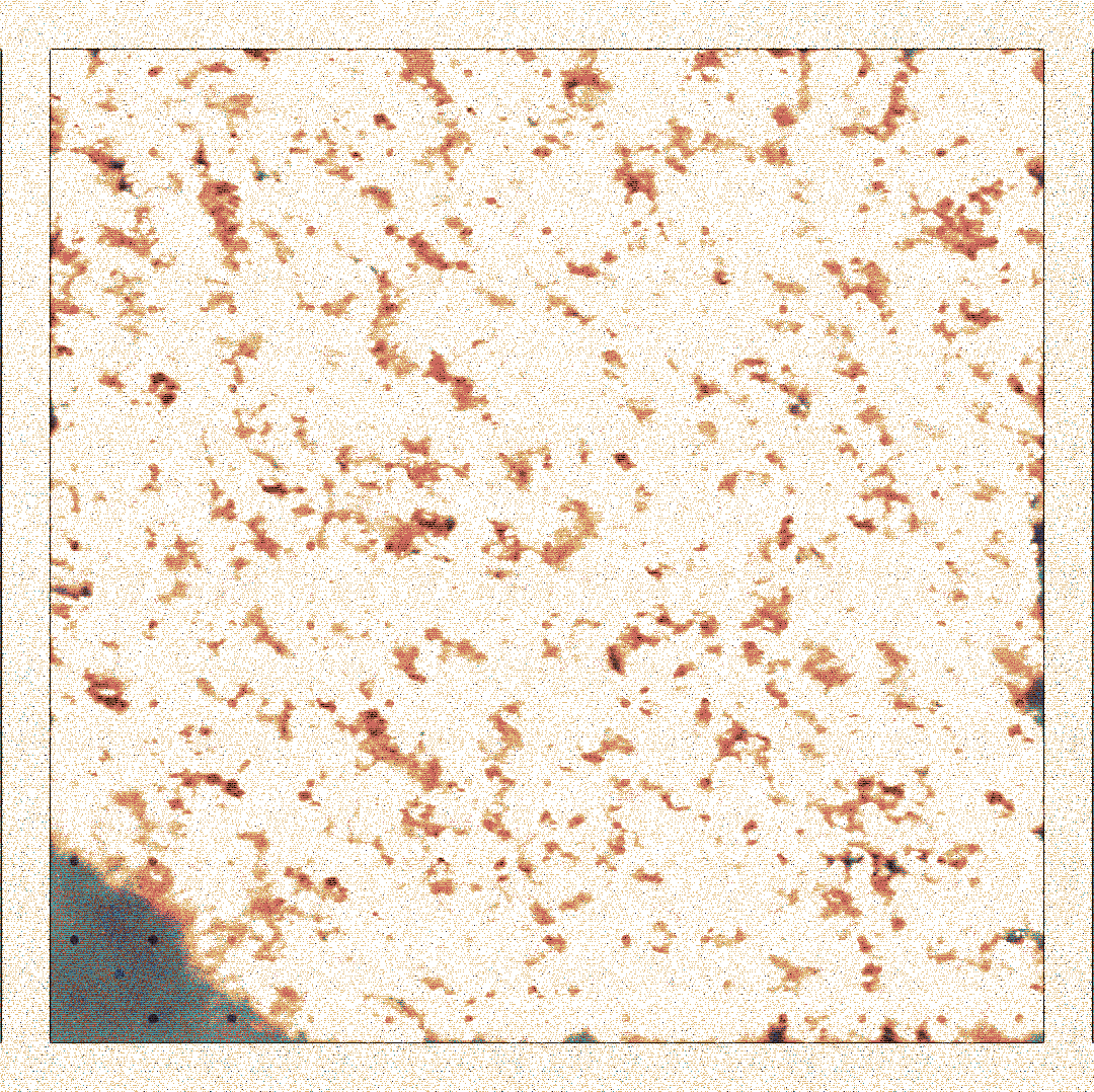γ_hole #73 static token preview