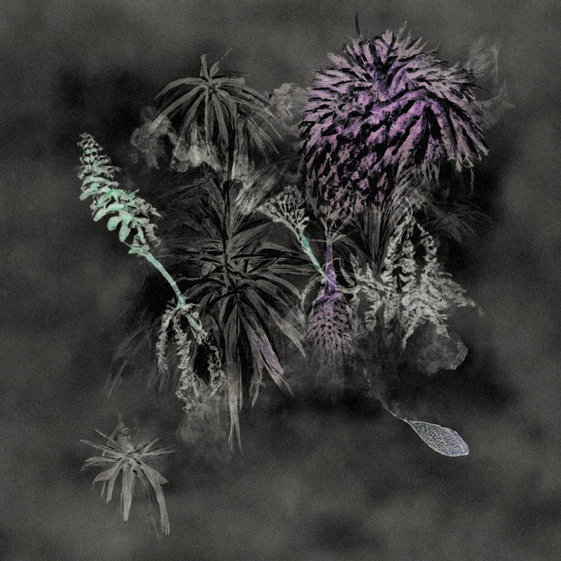 Hauntological Herbarium #45 static NFT preview