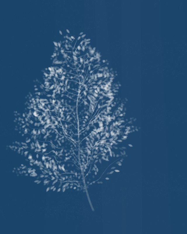 Cyanotypes #114 static NFT preview