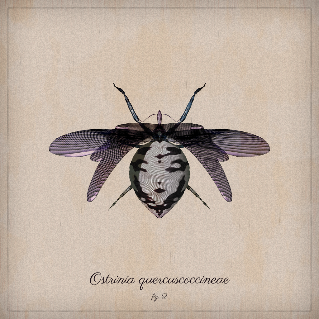 ProcGen Entomology #249 static NFT preview