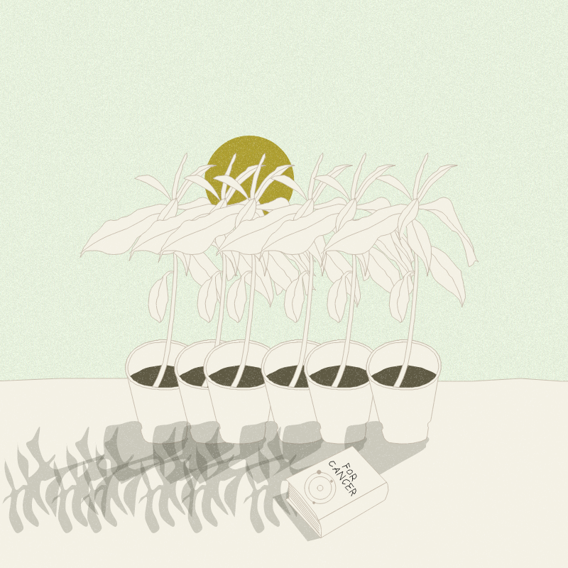 Still Life #12 #14 static token preview