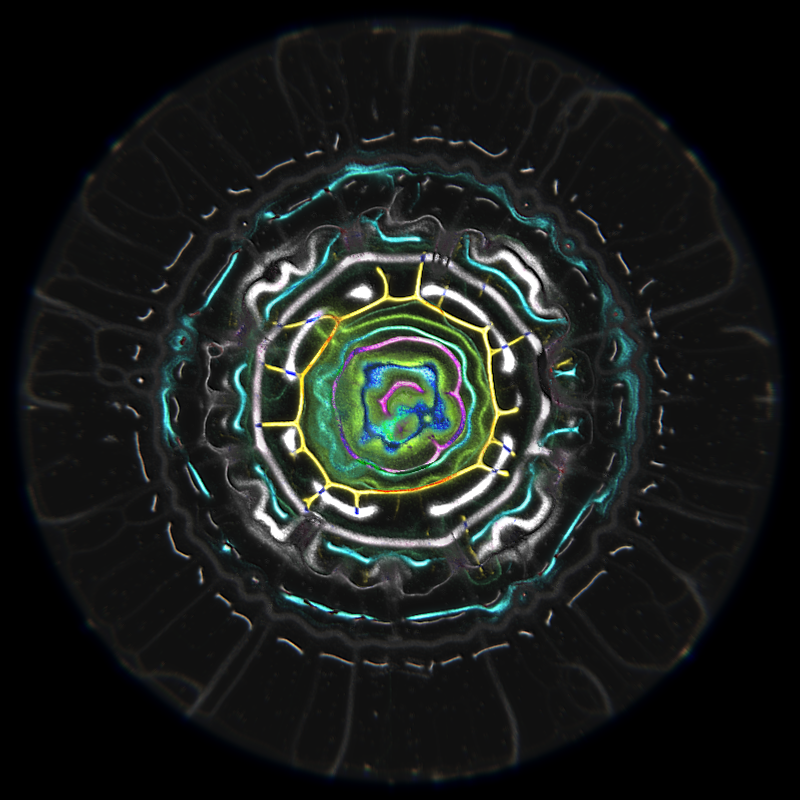Ethereal Microcosm #109 static NFT preview