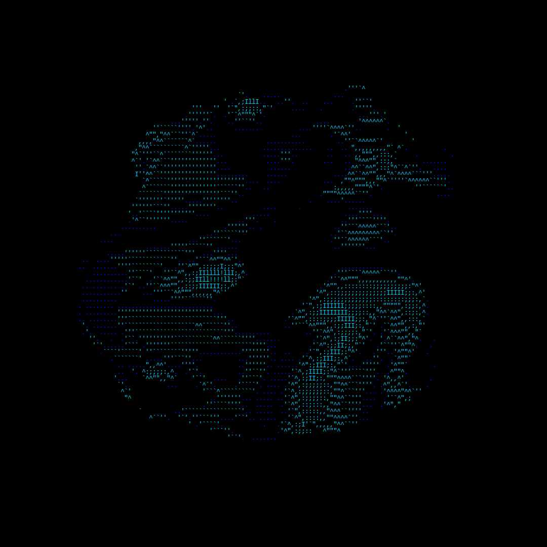parts of us - ascii #42 static NFT preview