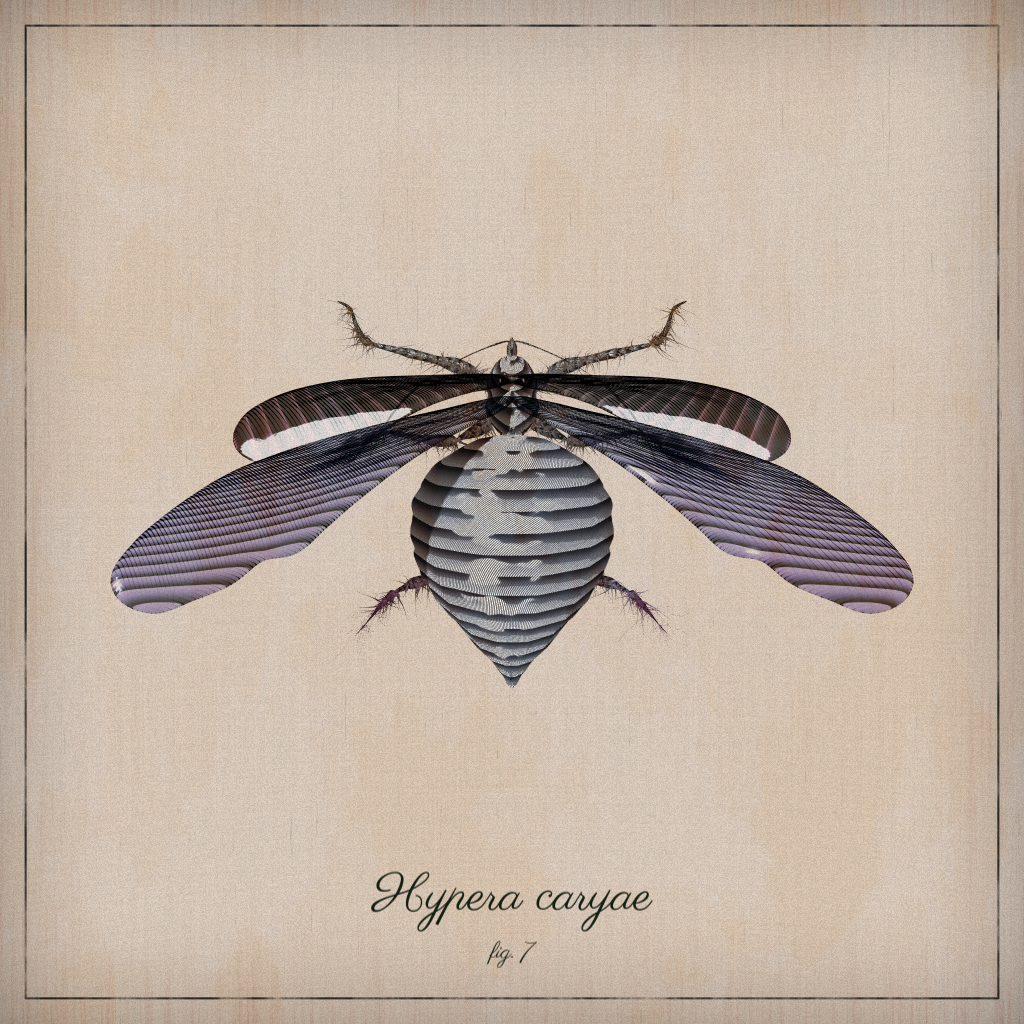 ProcGen Entomology #475 static NFT preview