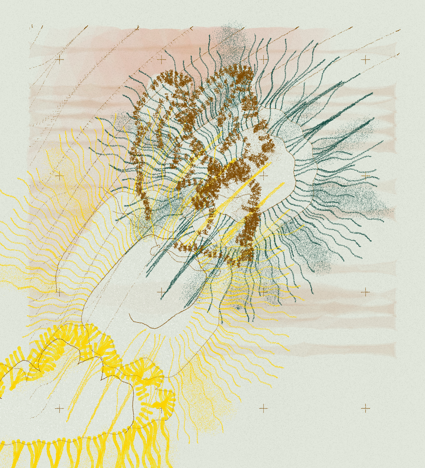 Enfantines II. Enfantillages Pittoresques #51 static NFT preview