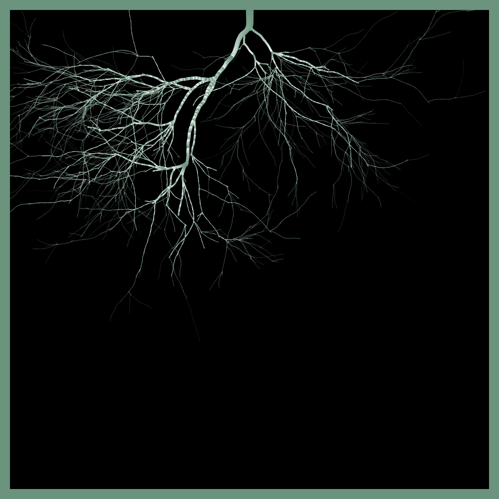 Arbres suspendus #141 static token preview