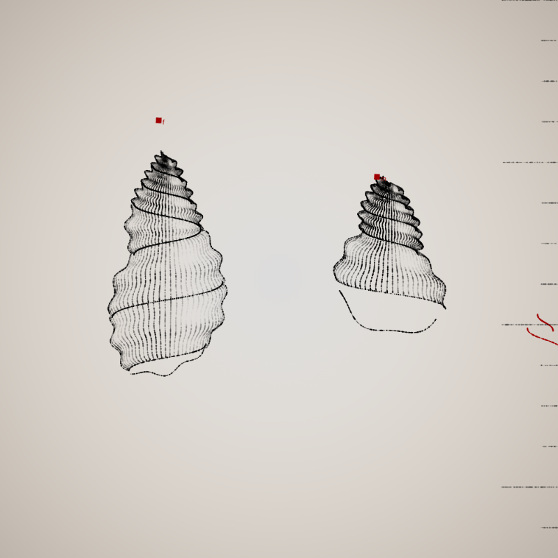 Two Specimen #343 static token preview