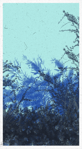 Life in the forest! project preview