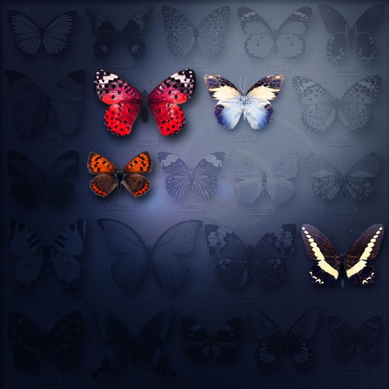 Save Butterfly World #8 static token preview