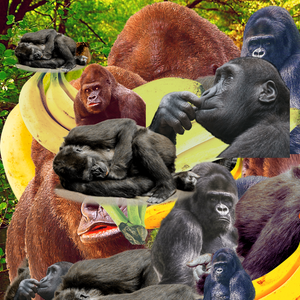 Banana #1 project preview