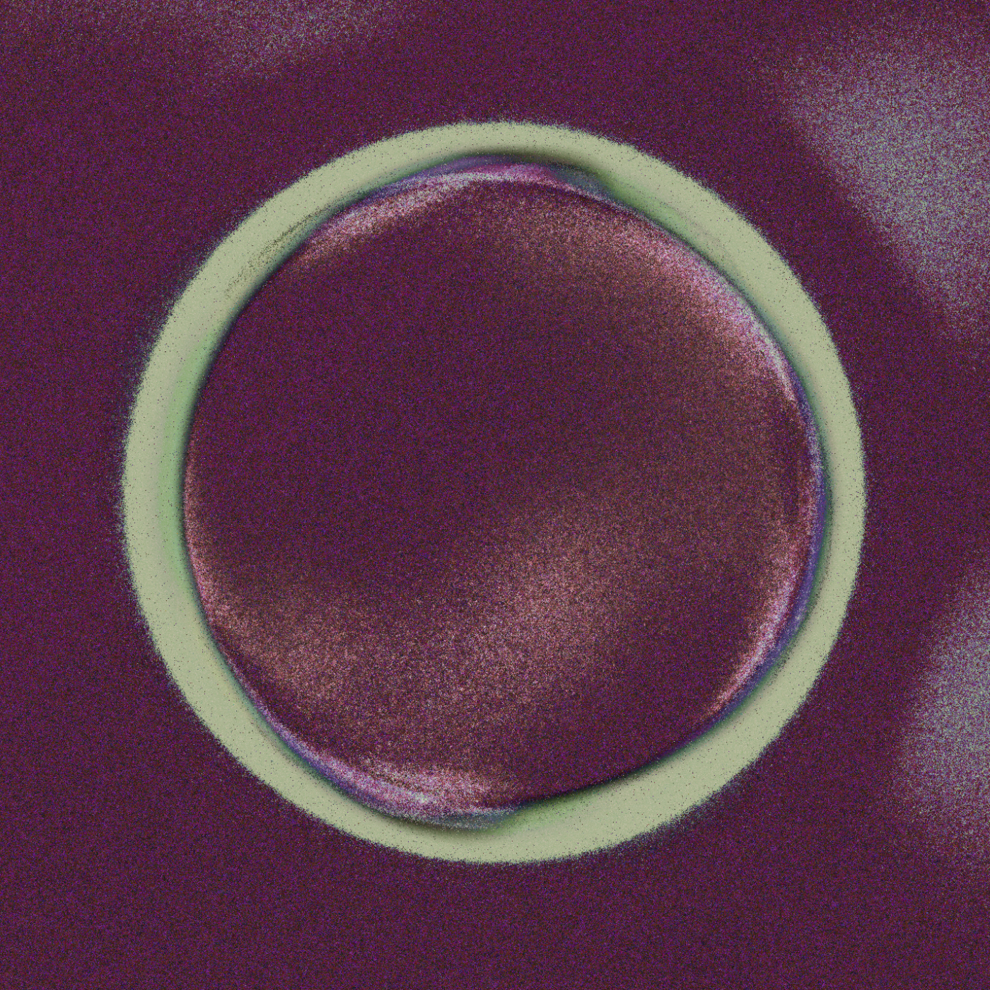 ⊗⊕⊗⊕ #35 static NFT preview