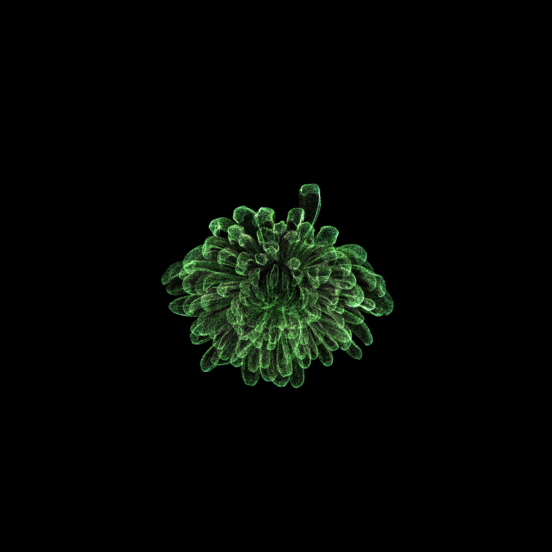 Chrysanthemum Morifolium 30 #36 static token preview