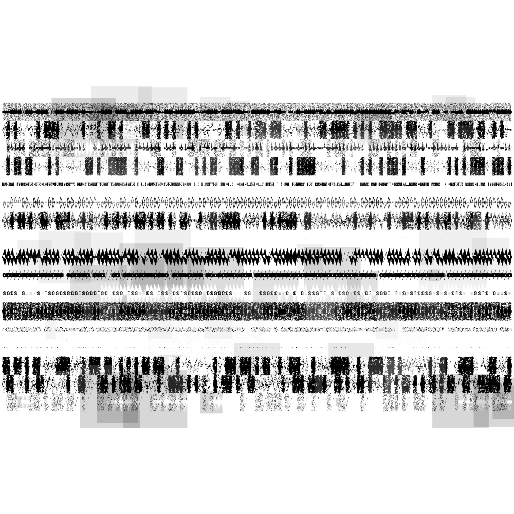 Etude B&W #366 static NFT preview