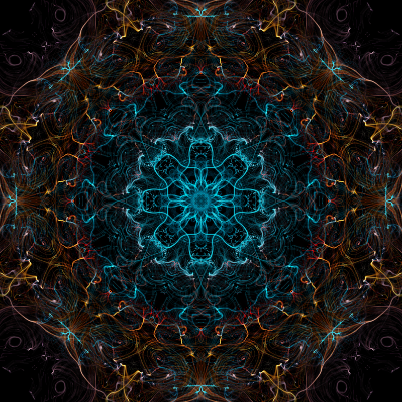nighttime in the garden #109 static NFT preview