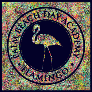 PBDA Generative Pelican / Flamingo project preview