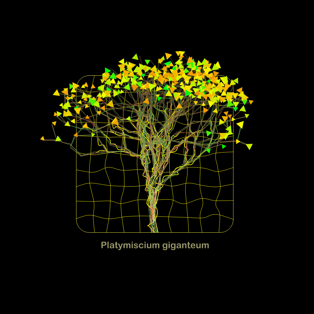 Fluidynamix - Trees #33 static NFT preview