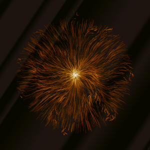 Spirogenesis project preview