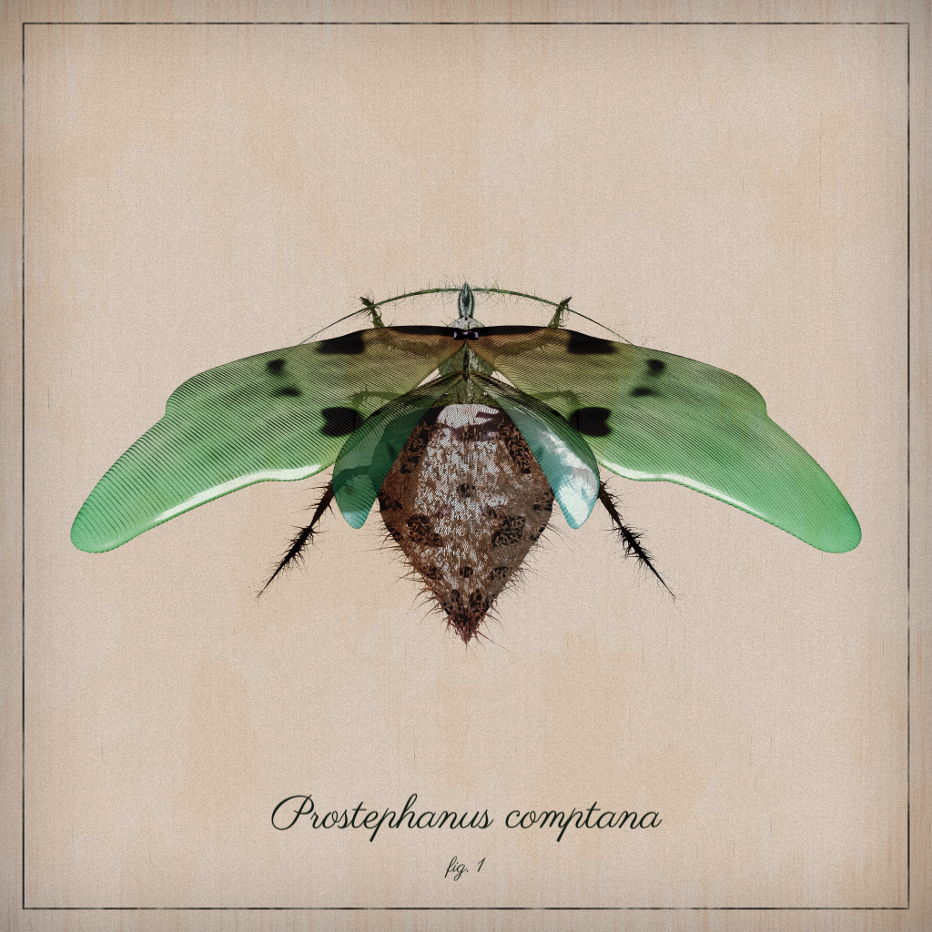 ProcGen Entomology #170 static NFT preview