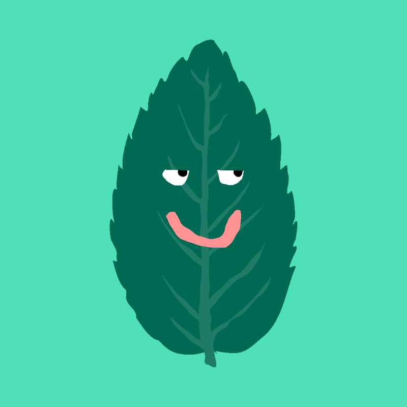 FREE MINT ! #42 static NFT preview