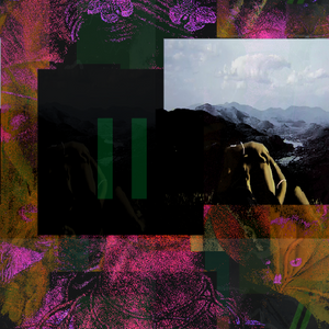 Los rostros de Frida project preview