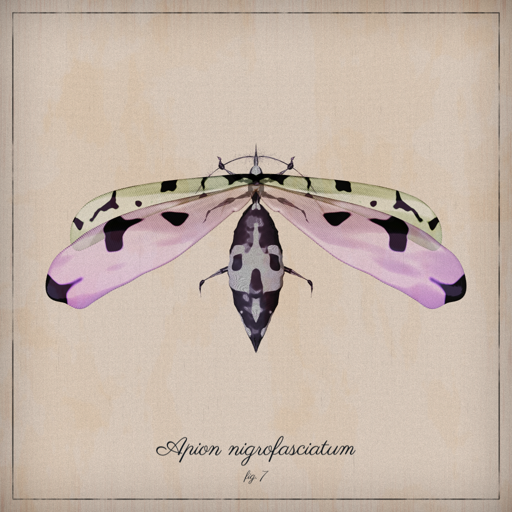 ProcGen Entomology #447 static NFT preview