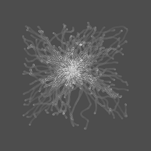 grey fungi wisdom #11 static NFT preview