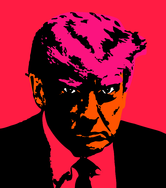 Donald Trump #205 static NFT preview