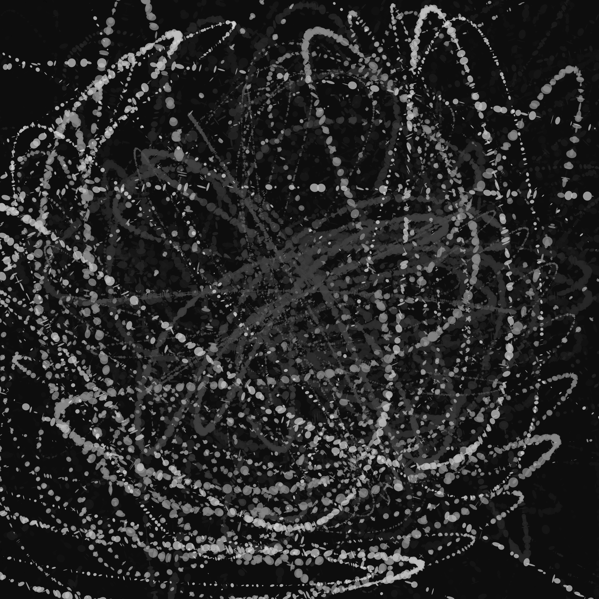 salt #198 static NFT preview