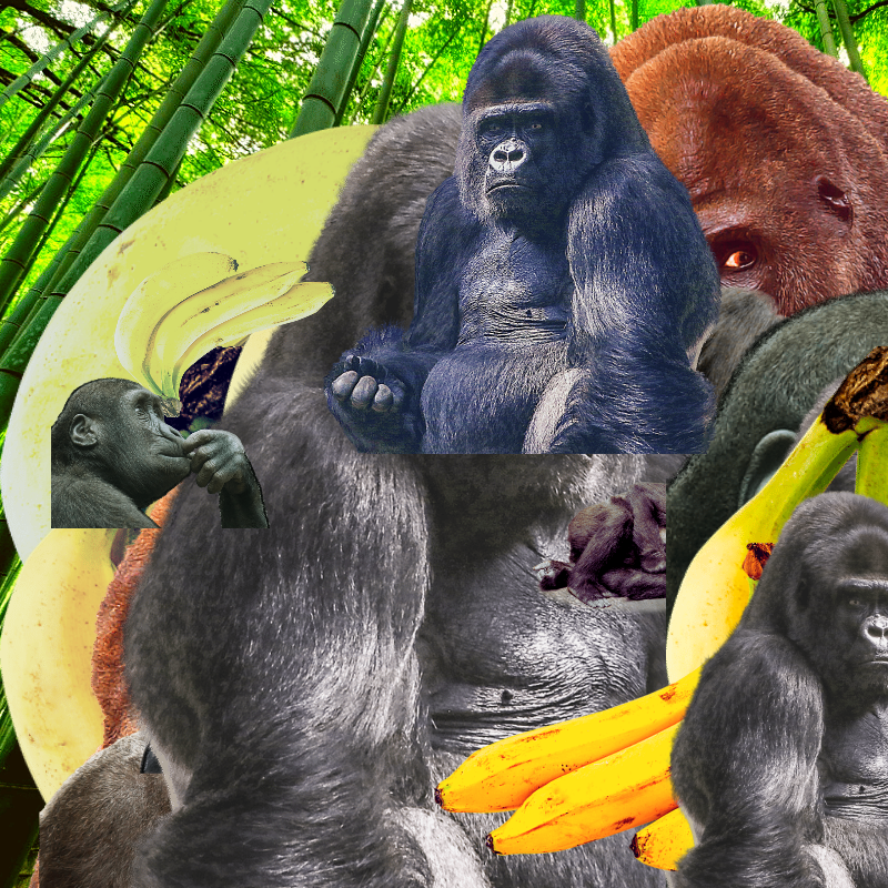 Banana #1 #11 static token preview