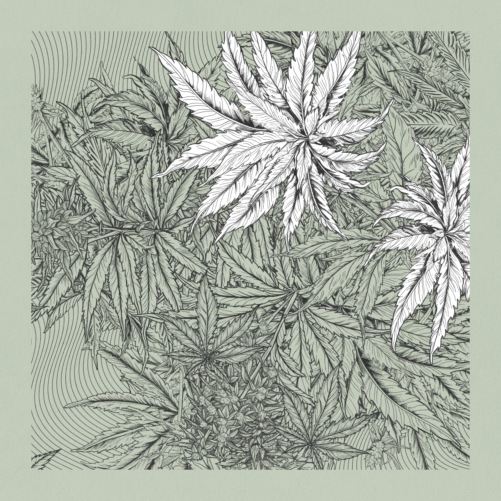 zancannabis #379 static NFT preview