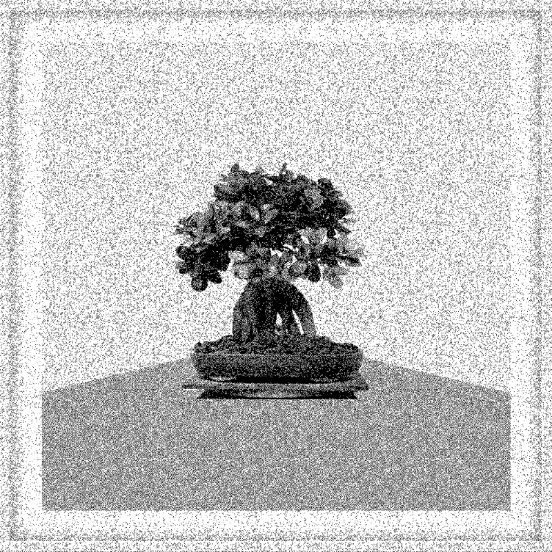 Bonsai Bonanza #702 static token preview