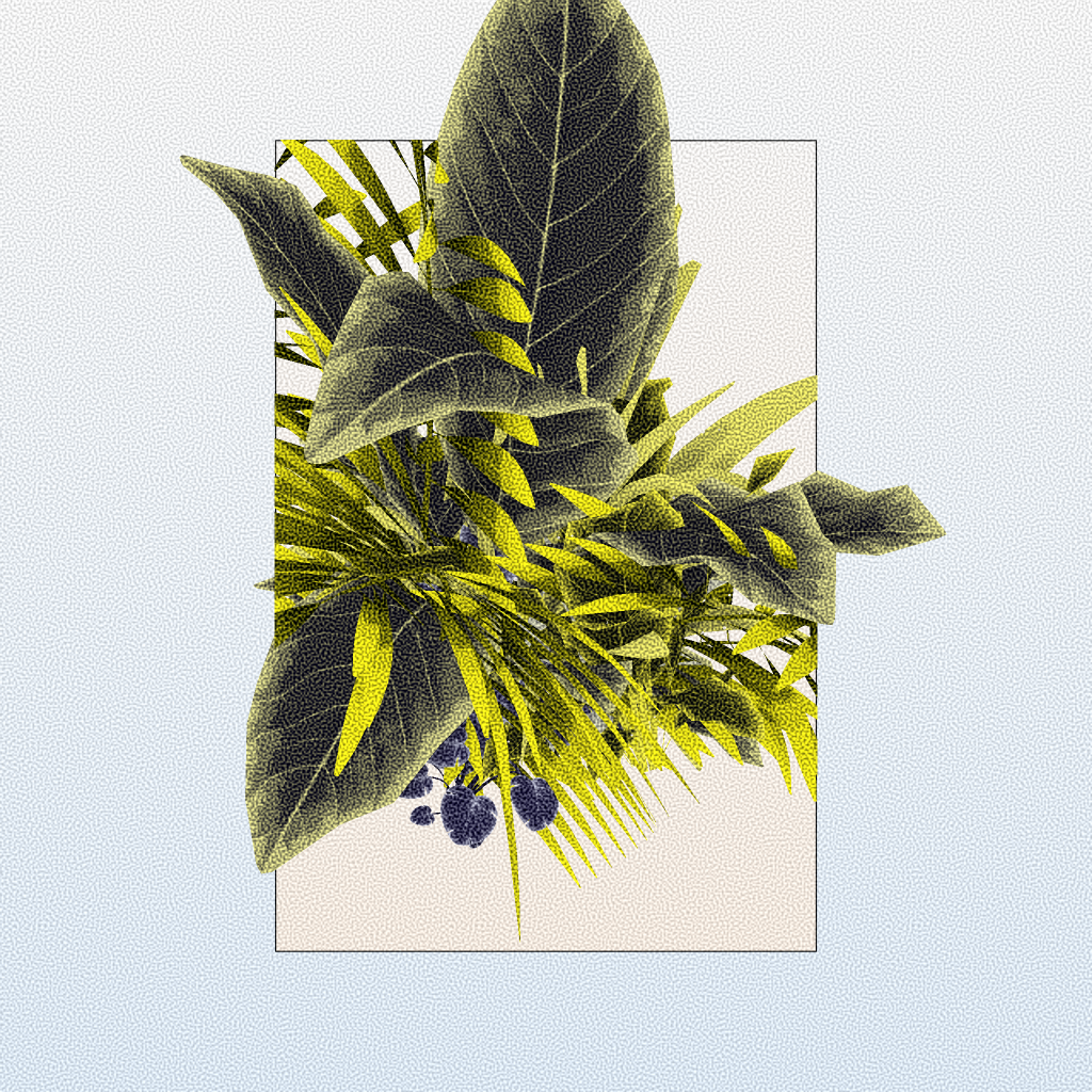 Botany #180 static token preview