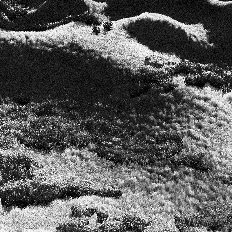 California Hills in Late Sun #107 static token preview