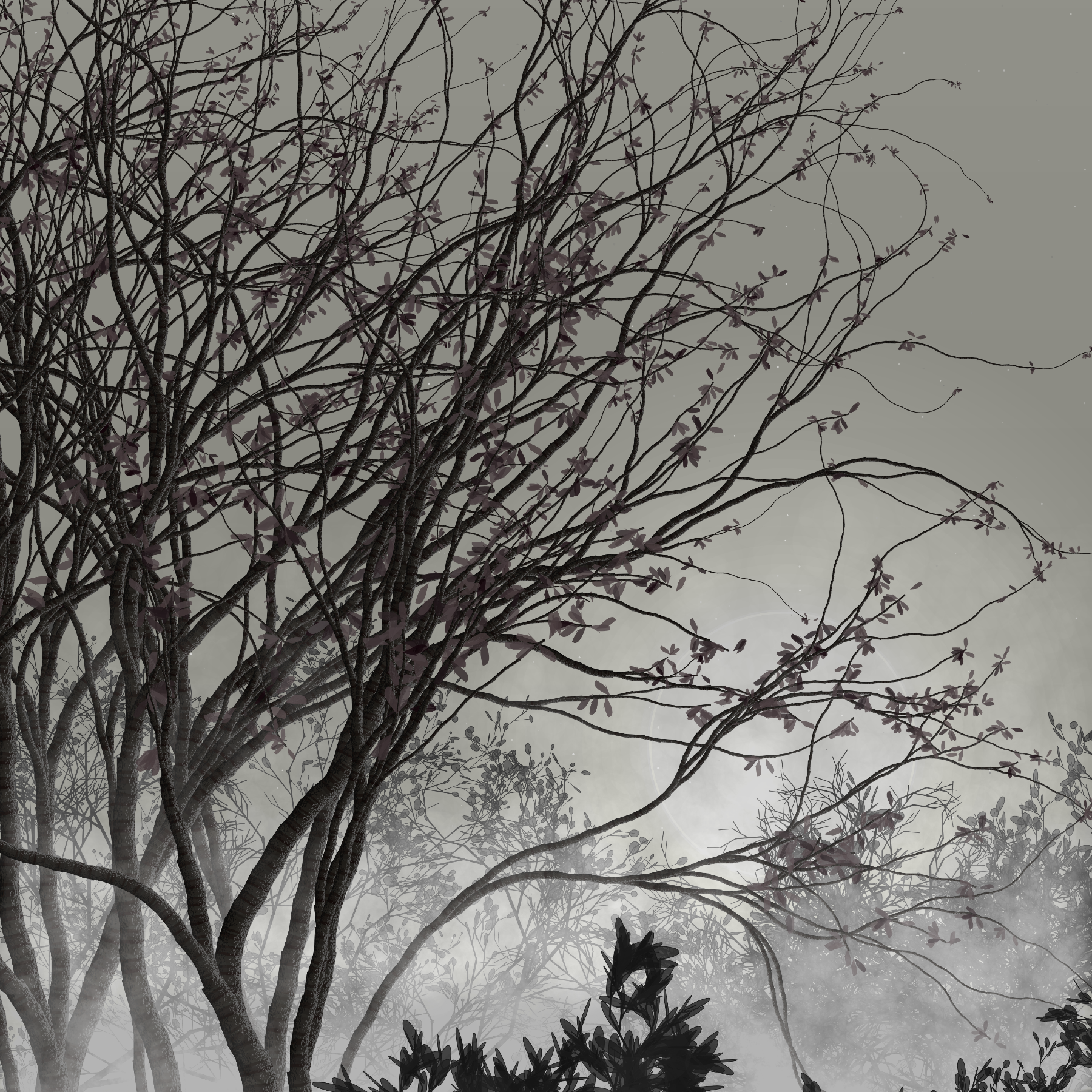 Morning Mist #47 static token preview