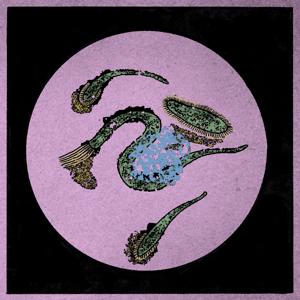 Microbes #37 static token preview