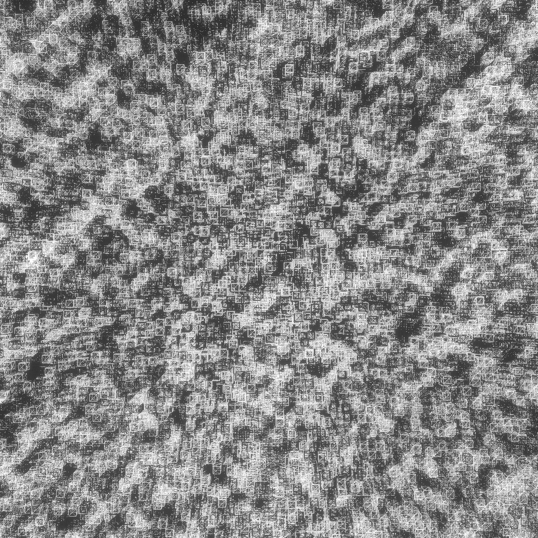 crayon beach | stretchy jeans #44 static NFT preview