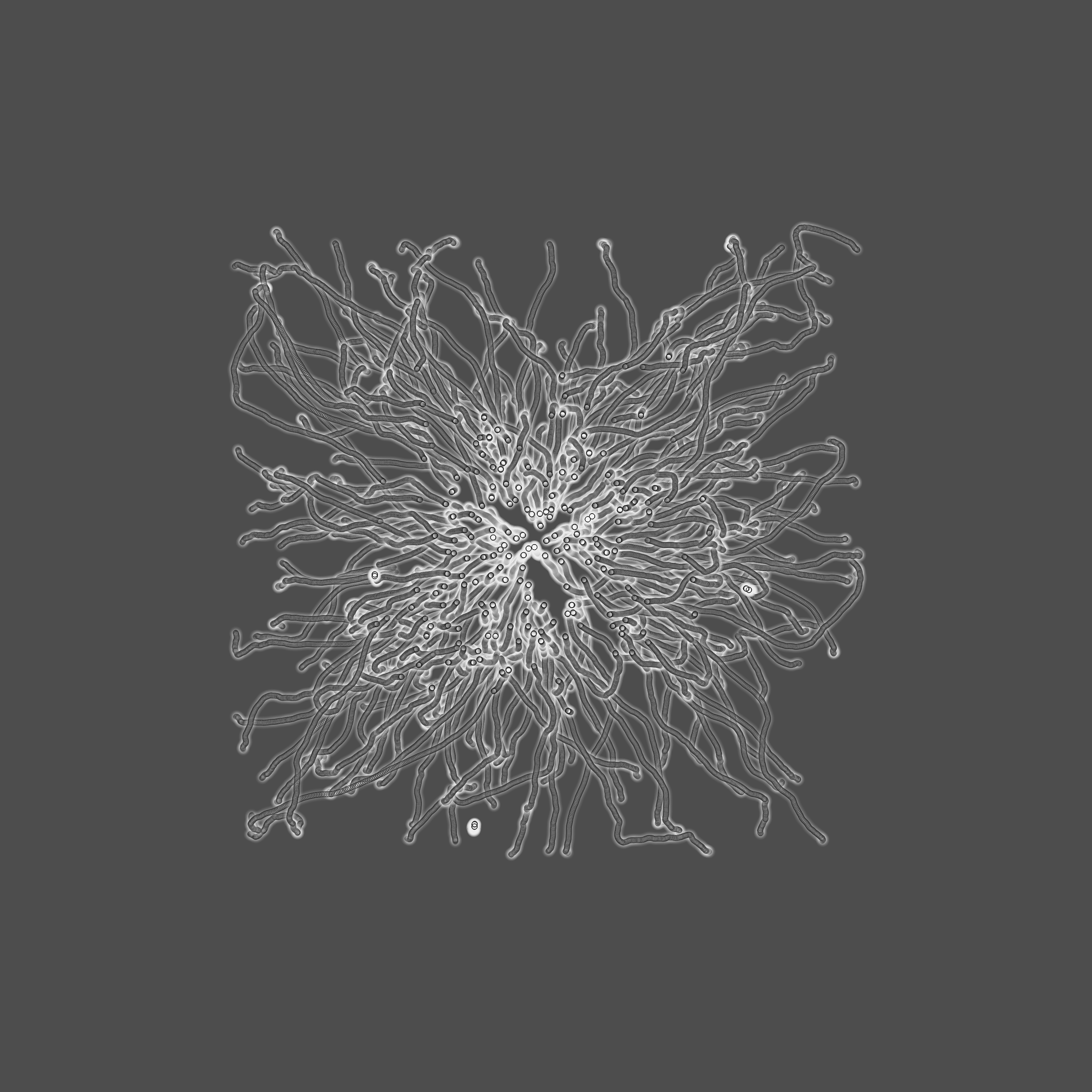 grey fungi wisdom #131 static token preview