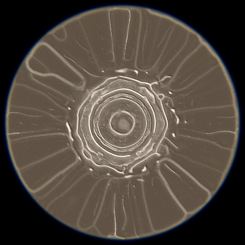 Ethereal Microcosm #294 static token preview