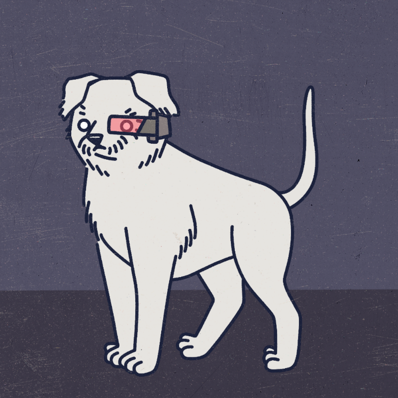 future_dogs #123 static token preview