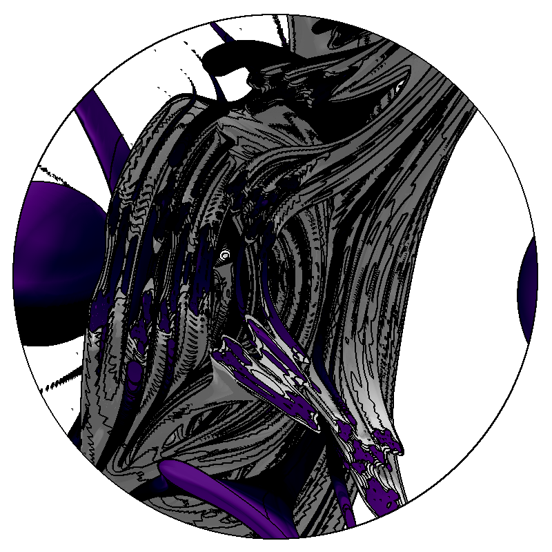LL21 Anatomy #59 static token preview