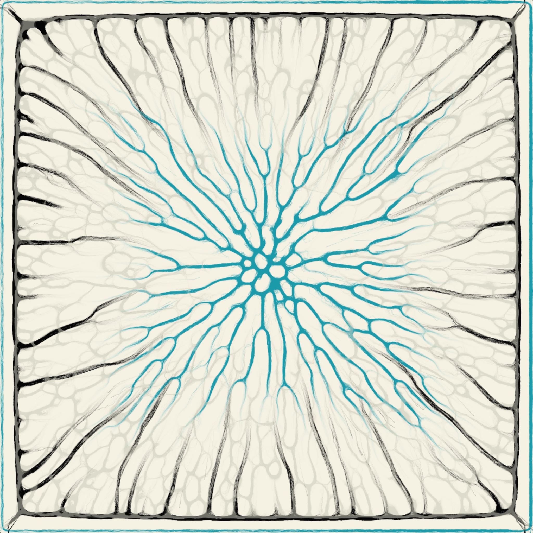 follow my lead #229 static NFT preview