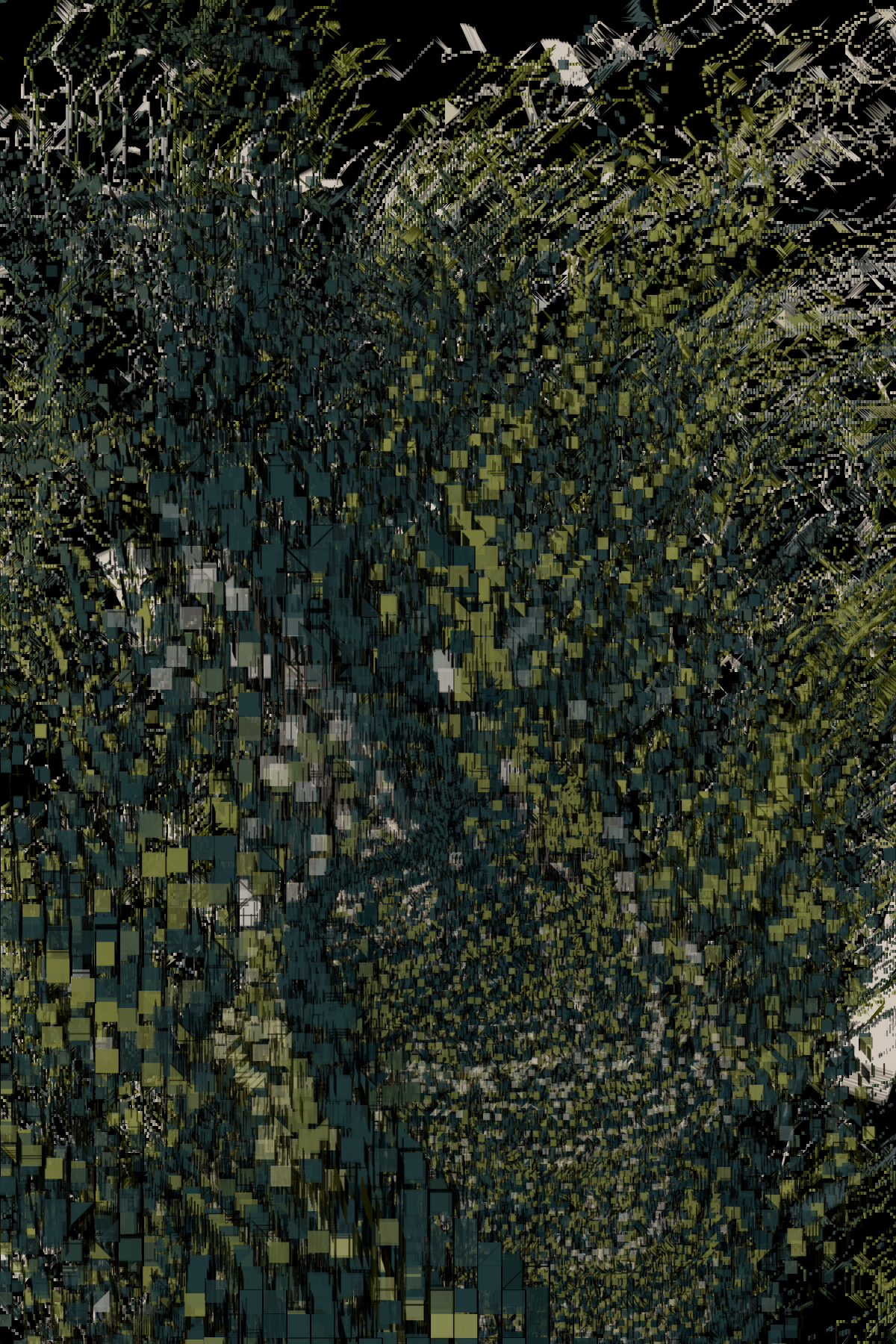 fion #217 static NFT preview